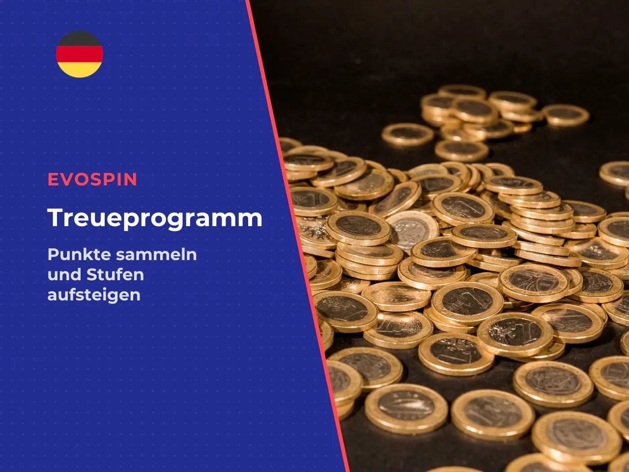 Evospin Treueprogramm 40 Status-Stufen und Comp