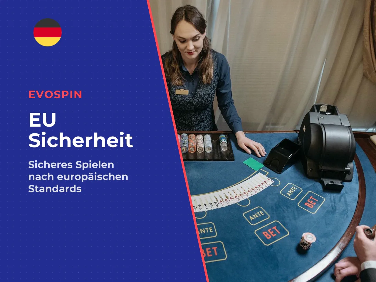 10.3 Der europäische Rahmen Empfehlung 2014